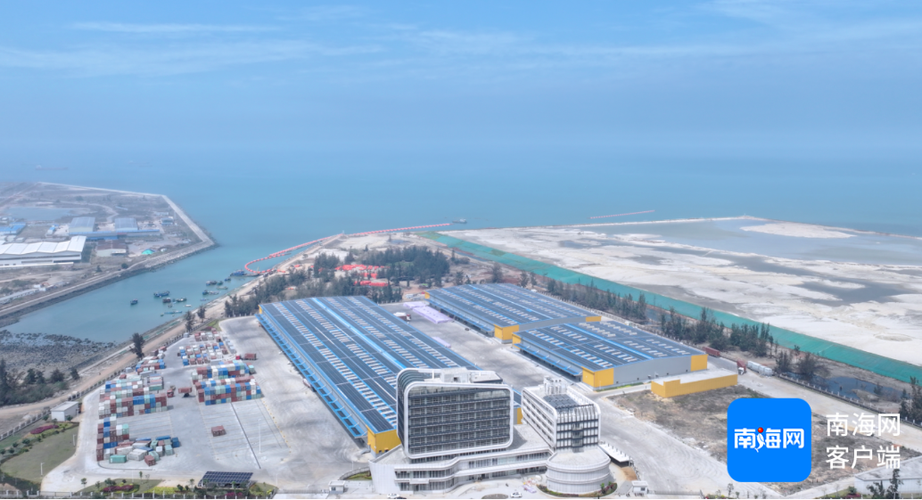 ​洋浦国际智慧供应链中心构建高效便捷的橡胶物流通道